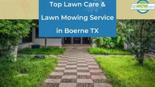 Top Lawn Care & Lawn Mowing Service in Boerne TX