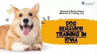 Dog Behavior Training IN Iowa - Homeward Bound Animal Behavior & Training, LLC