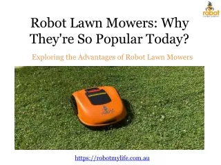 The Increasing Popularity of Robot Lawn Mowers