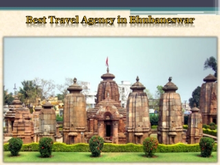 Best Travel Agency in Bhubaneswar