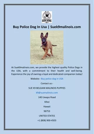 Buy Police Dog In Usa  Suek9malinois