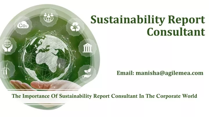 the importance of sustainability report consultant in the corporate world