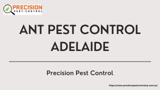 Termite Treatment Adelaide | Precision Pest Control in AU