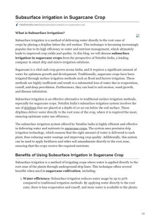 Subsurface irrigation in Sugarcane Crop