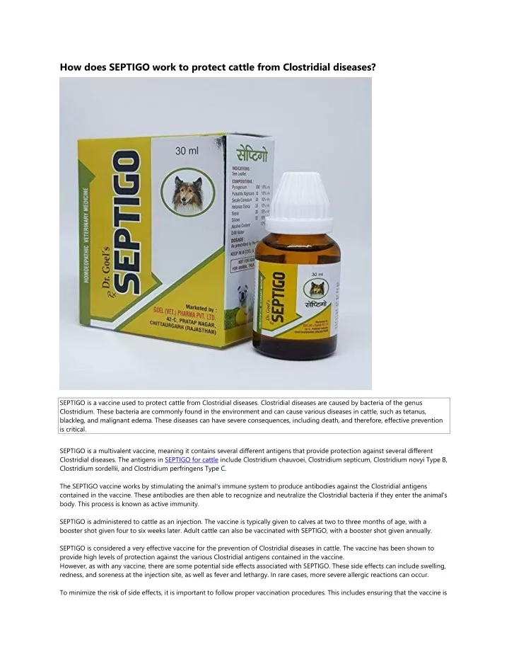 how does septigo work to protect cattle from