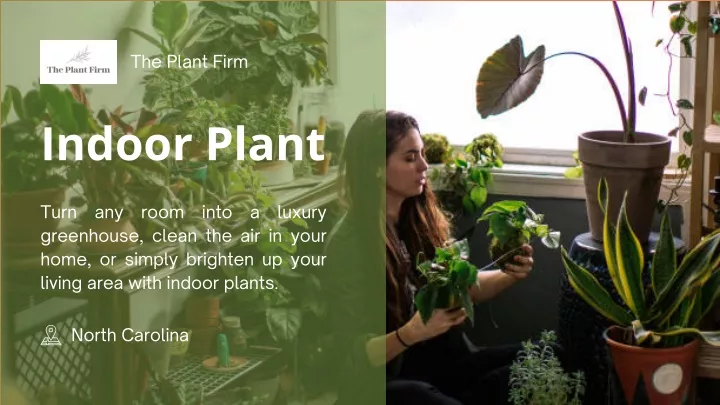 the plant firm