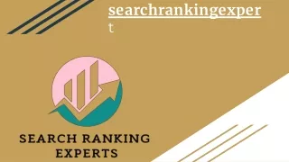 searchrankingexpert seo