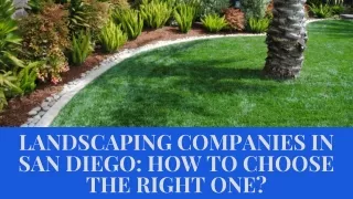 Landscaping Companies In San Diego How To Choose The Right One