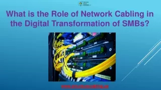 what is the role of network cabling
