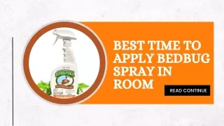When's the best time to apply Natural Bed Bug spray in room ?