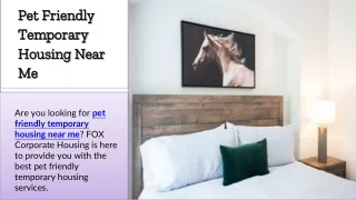 pet friendly temporary housing near me