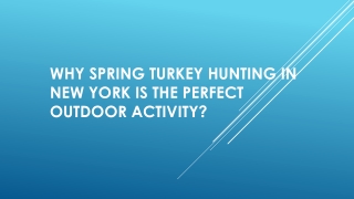 Why Spring Turkey Hunting In New York Is The Perfect Outdoor Activity?