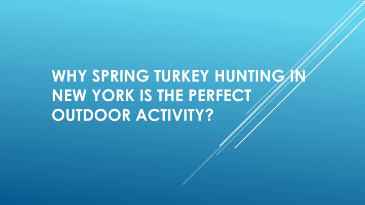why spring turkey hunting in new york is the perfect outdoor activity