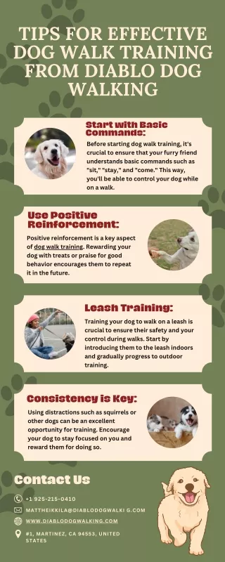 Tips for Effective Dog Walk Training from Diablo Dog Walking