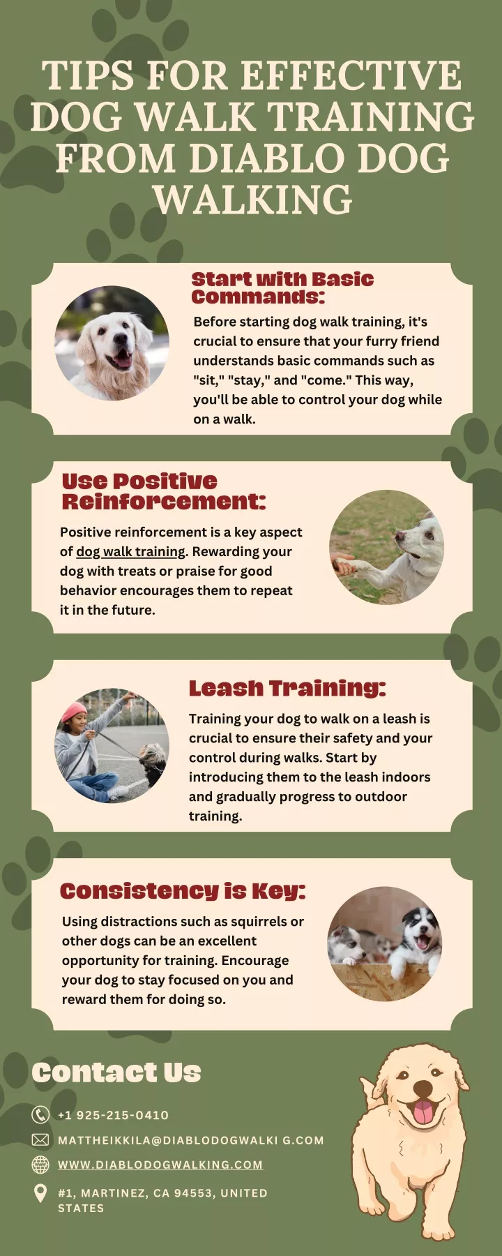 tips for effective dog walk training from diablo