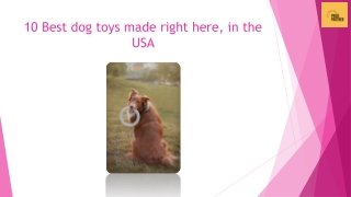 10 Best dog toys made right here,