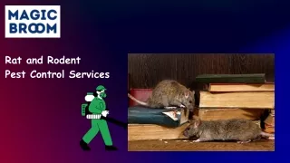 Rat and Rodent Pest Control Services