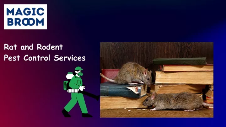 rat and rodent pest control services