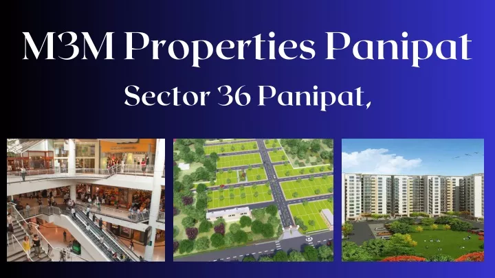 m3m properties panipat sector 36 panipat