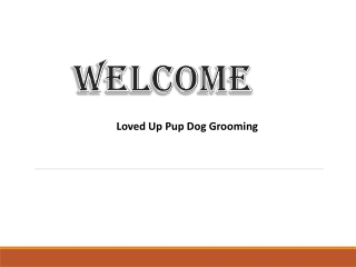 Loved Up Pup Dog Grooming
