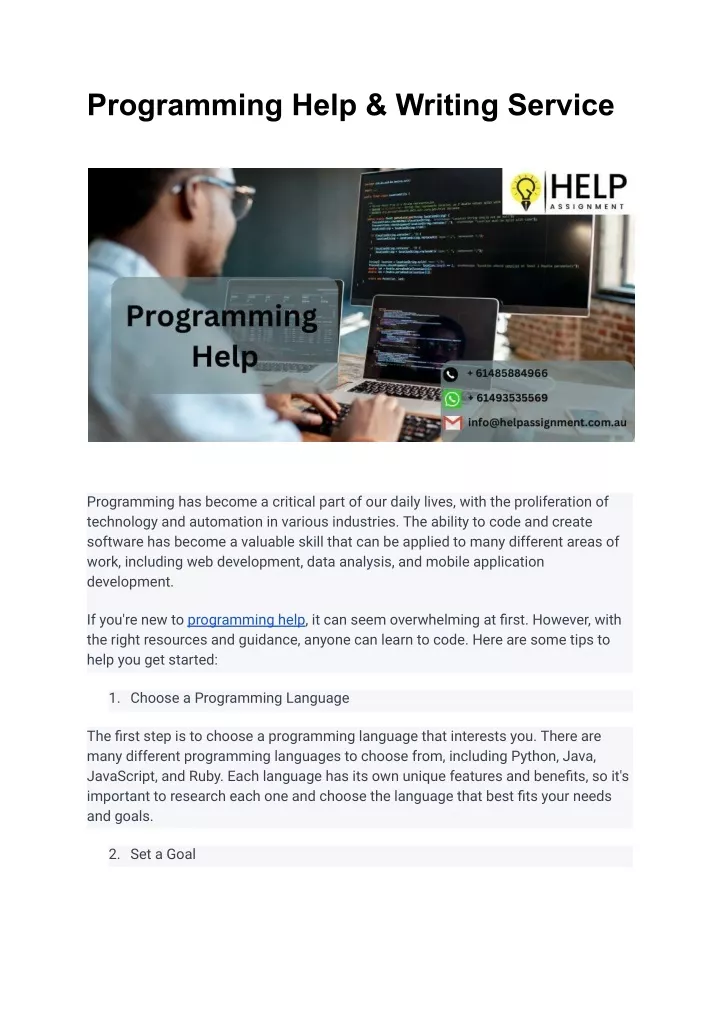 programming help writing service