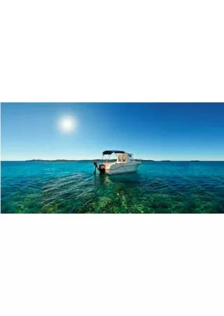Bimini Top