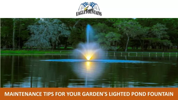 maintenance tips for your garden s lighted pond