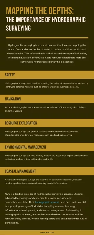 Mapping the Depths The Importance of Hydrographic Surveying