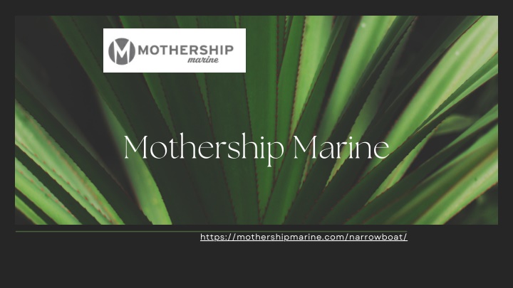 mothership marine
