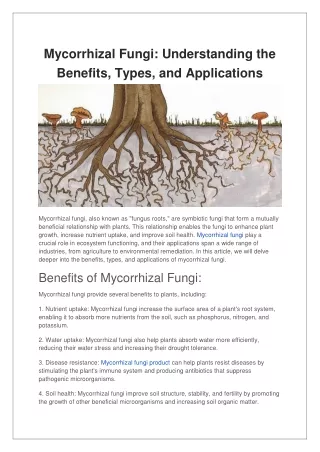 mycorrhizal fungi understanding the benefits