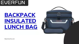 Backpack insulated lunch bag