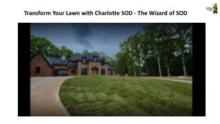 transform your lawn with charlotte sod the wizard
