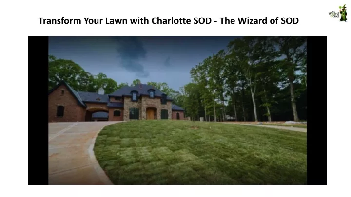 transform your lawn with charlotte sod the wizard