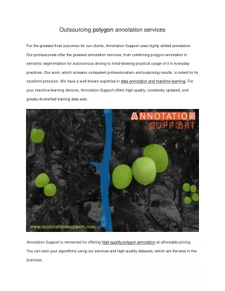 Outsourcing polygon annotation services