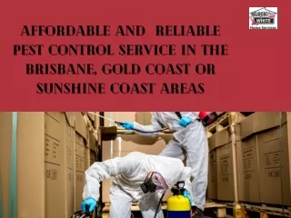 Affordable and reliable pest control service in the Brisbane, Gold Coast or Sunshine Coast areas