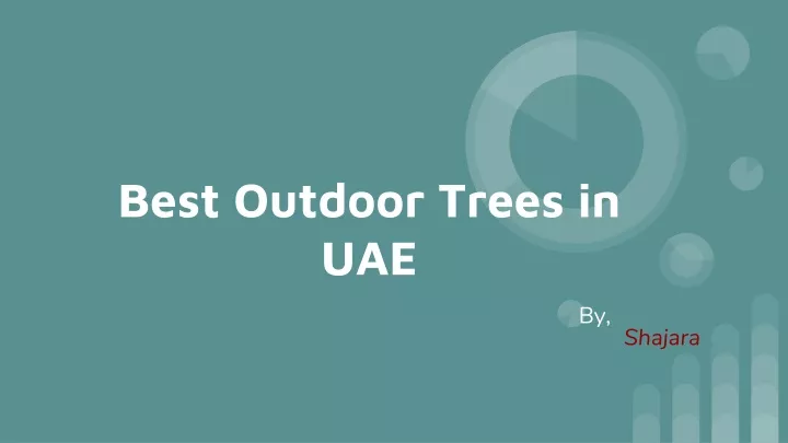 best outdoor trees in uae