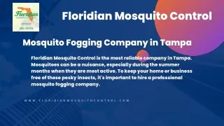 Hire the Best Mosquito Fogging Company in Tampa