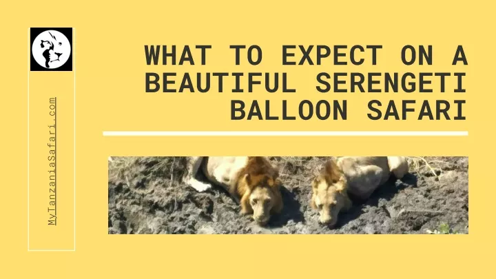 what to expect on a beautiful serengeti balloon