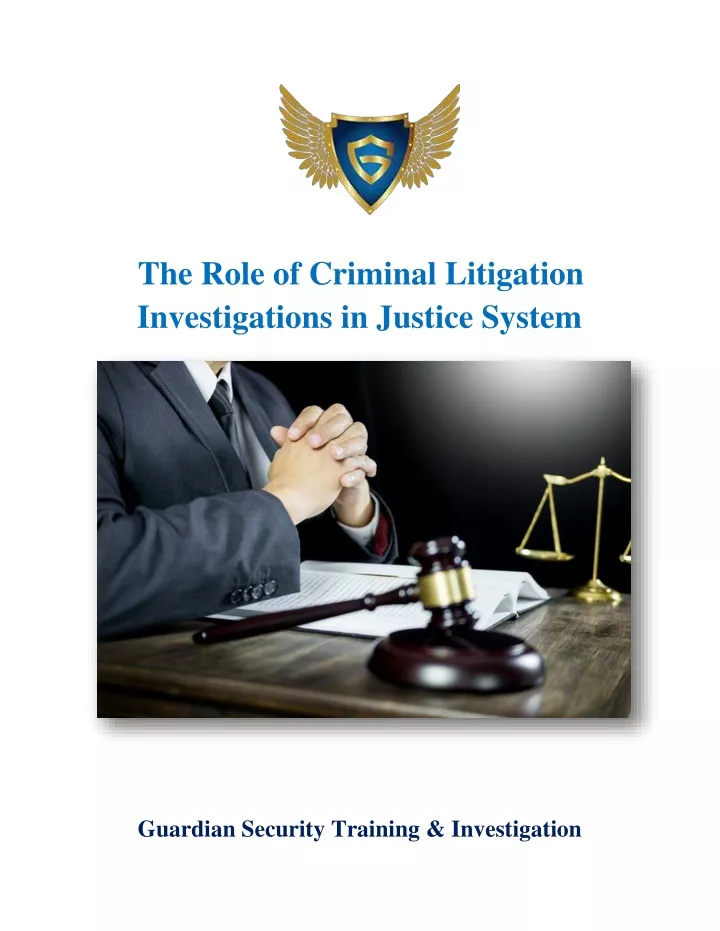 the role of criminal litigation investigations