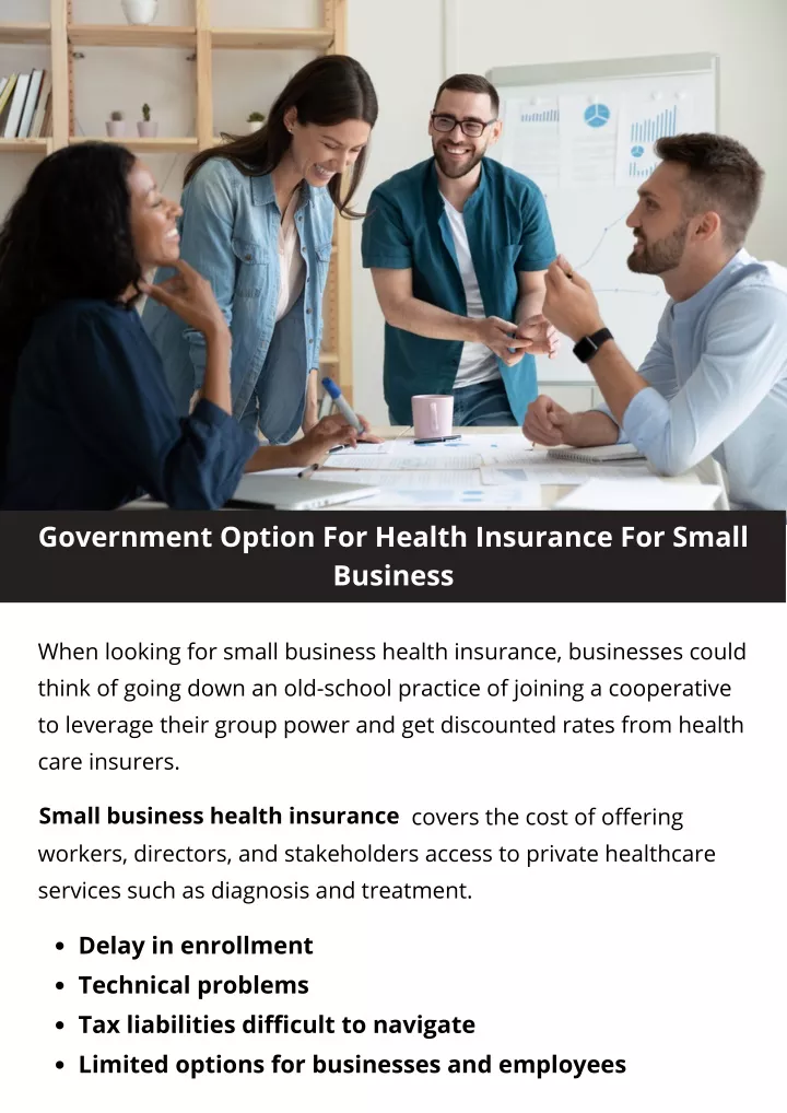 government option for health insurance for small