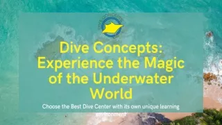 dive concepts experience the magic