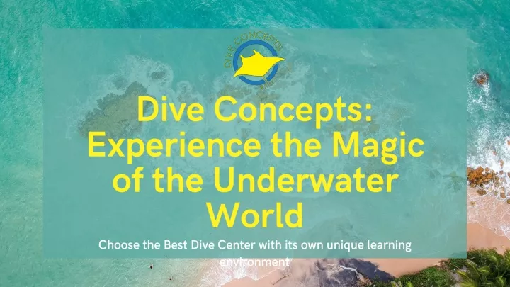 dive concepts experience the magic