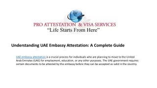 understanding uae embassy attestation a complete