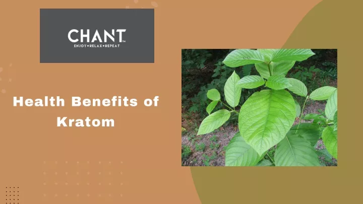 health benefits of kratom