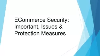 ecommerce security important issues protection