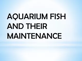 AQUARIUM FISH AND THEIR MAINTENANCE  PPT