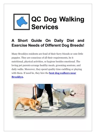 Best Dog Walkers Near Brooklyn