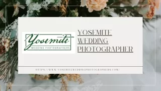 Yosemite Wedding Photographer