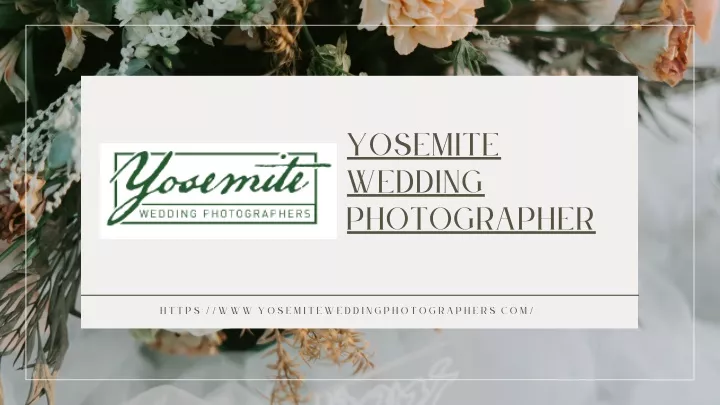 yosemite wedding photographer