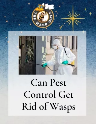 Can Pest Control Get Rid of Wasps